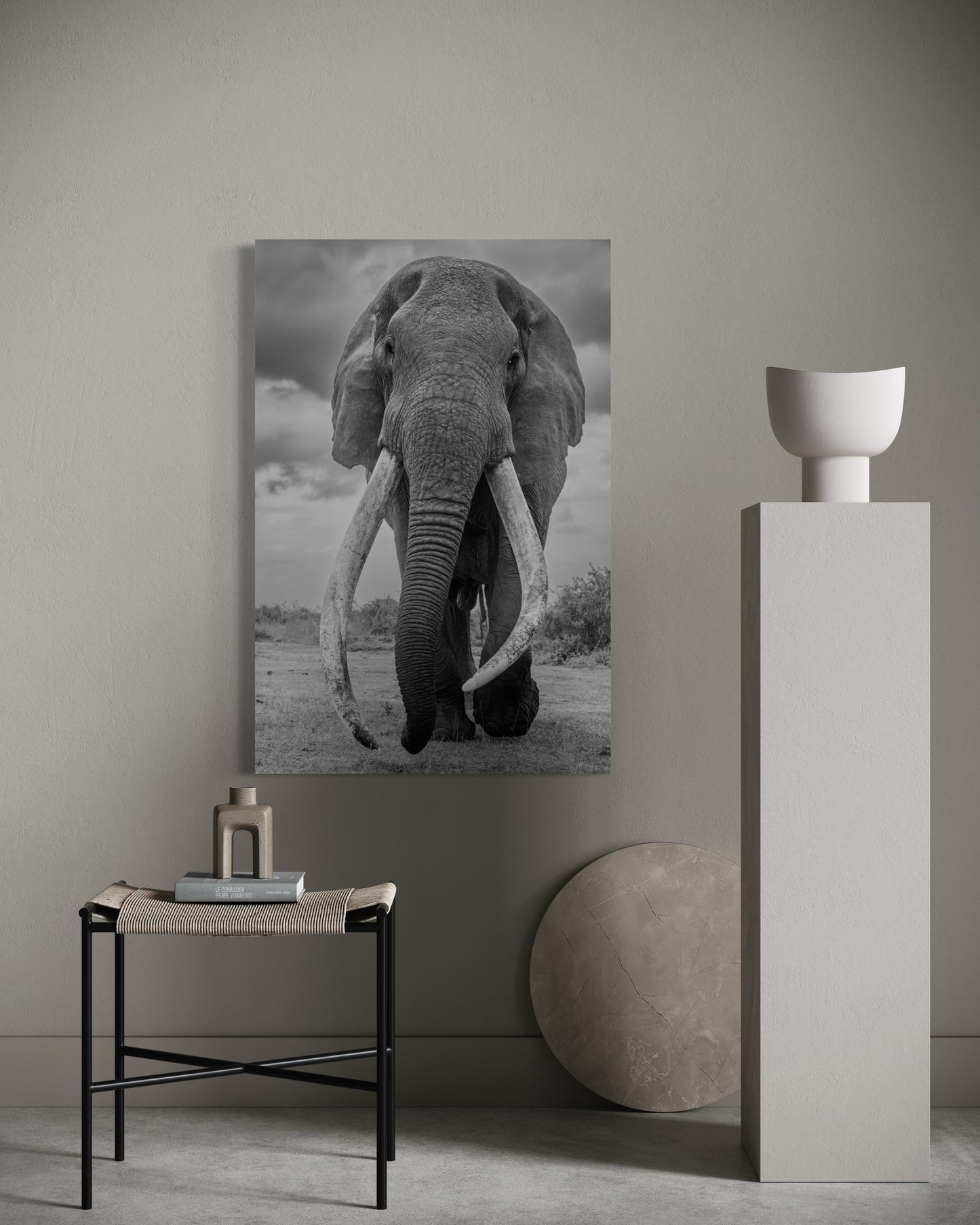 El gigante de África
