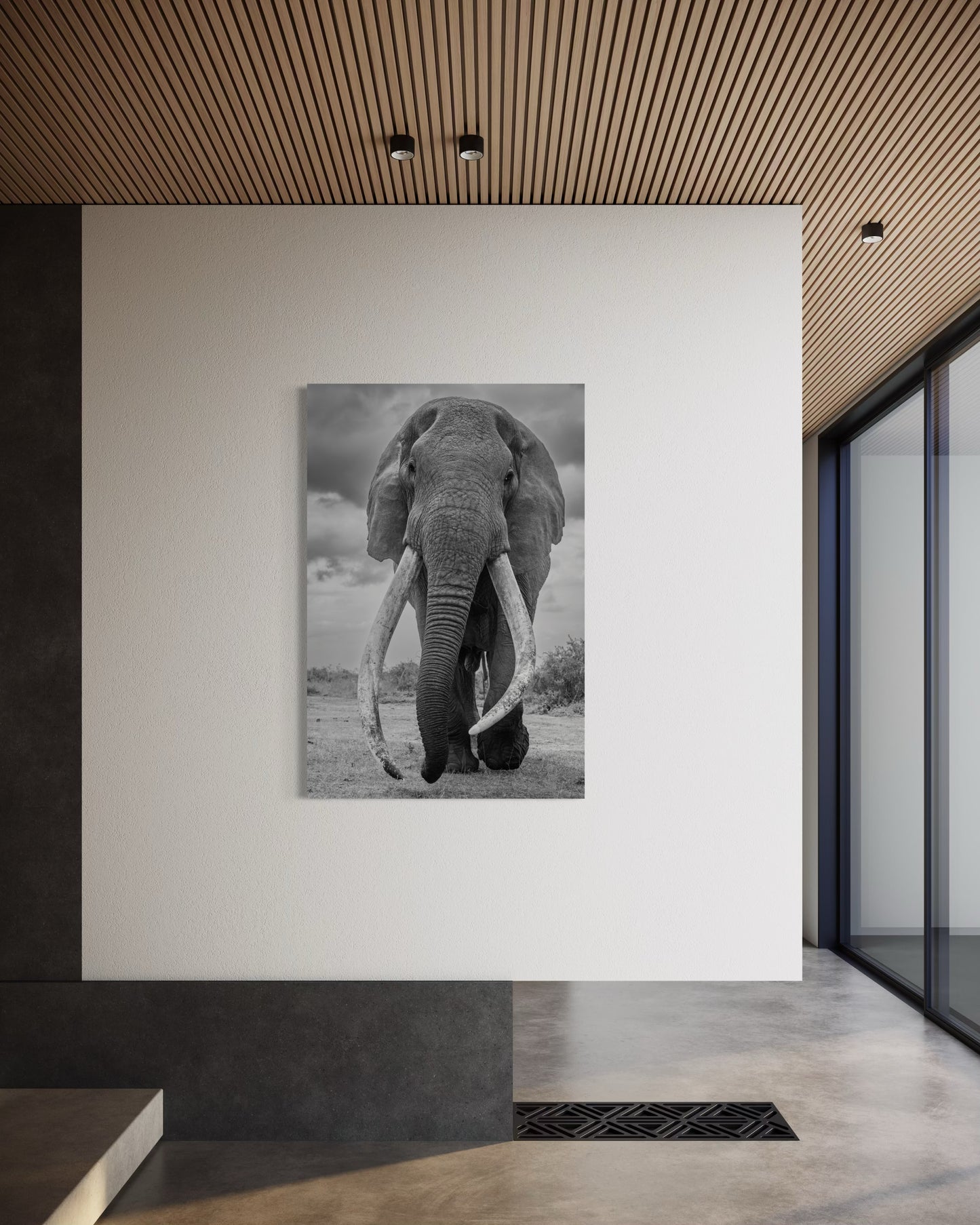 El gigante de África